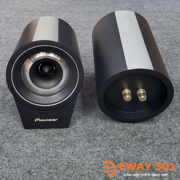 Cặp Loa Pioneer Super Treble E2