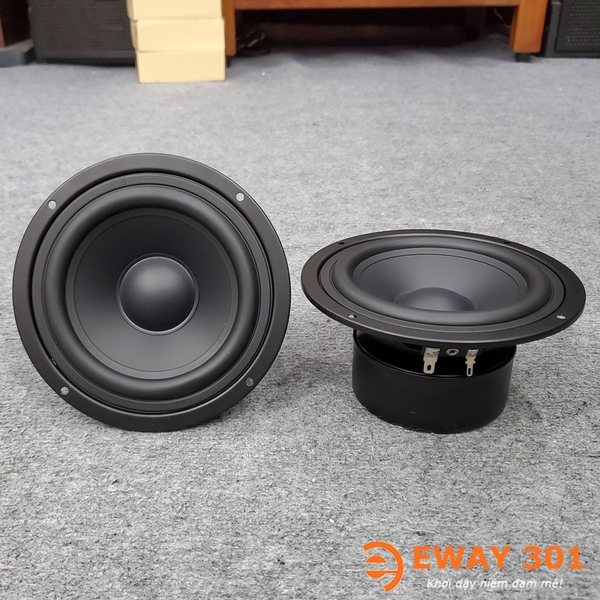 Cặp Loa Trung MID Bọc Khử Từ P6608