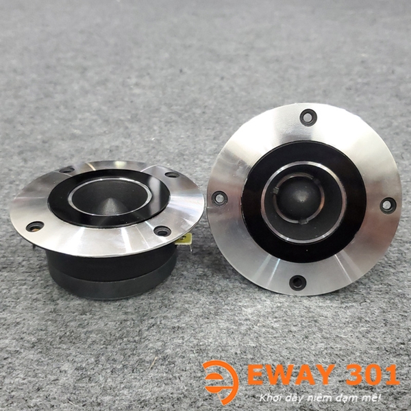 Cặp Loa Treble WT-A100 Củ Rời