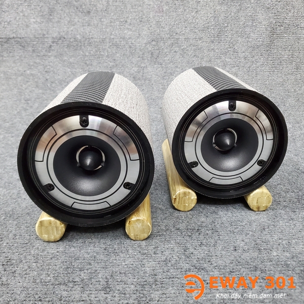 Cặp Loa Super Treble Đầu Đạn Pioneer E1