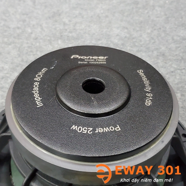 Cặp Loa Bass 25 P8825 Chính Hãng