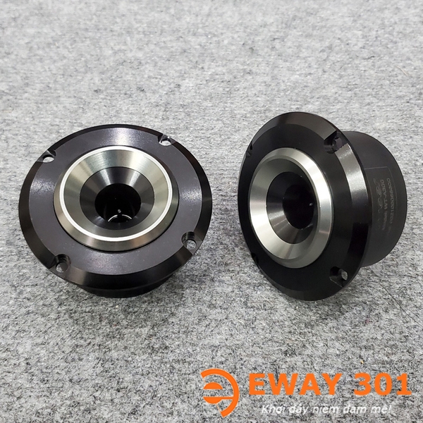 Cặp Loa Treble WT-A300