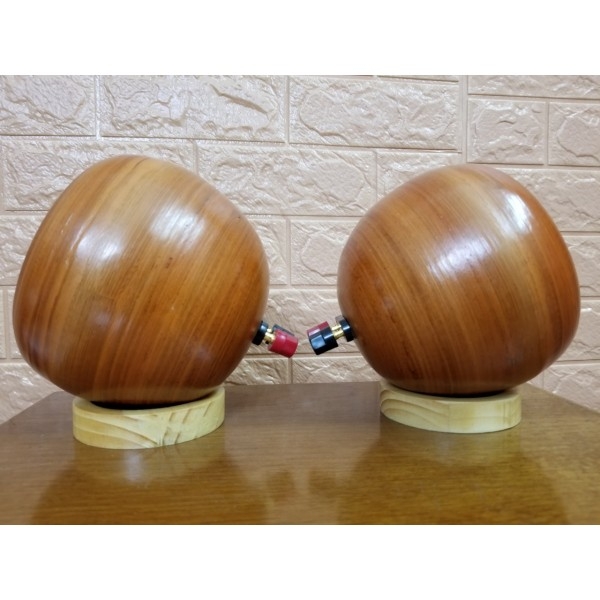 Loa Treble Pioneer P8802 Vỏ Tre