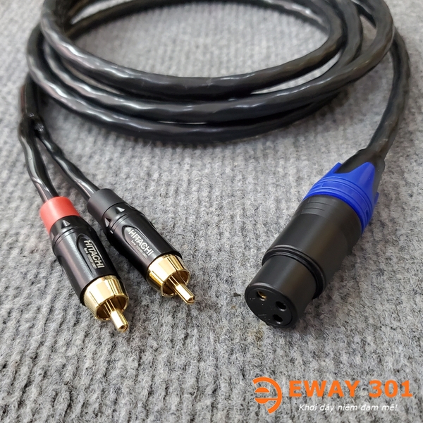 Dây Tín Hiệu Cho Loa SUB Điện Hitachi - Dây Canon Cái Ra 2AV