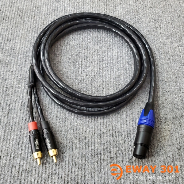 Dây Tín Hiệu Cho Loa SUB Điện Hitachi - Dây Canon Cái Ra 2AV
