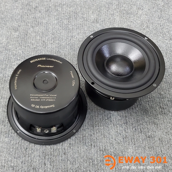 Cặp Loa Trung MID 10 Bọc Khử Từ HT-P8801