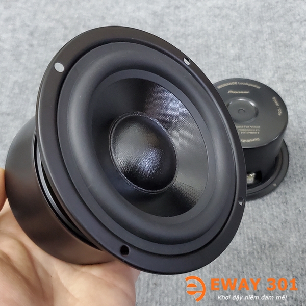 Cặp Loa Trung MID 10 Bọc Khử Từ HT-P8801