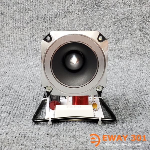 Cặp Loa Treble P8804 Lắp Phân Tần Treble T5