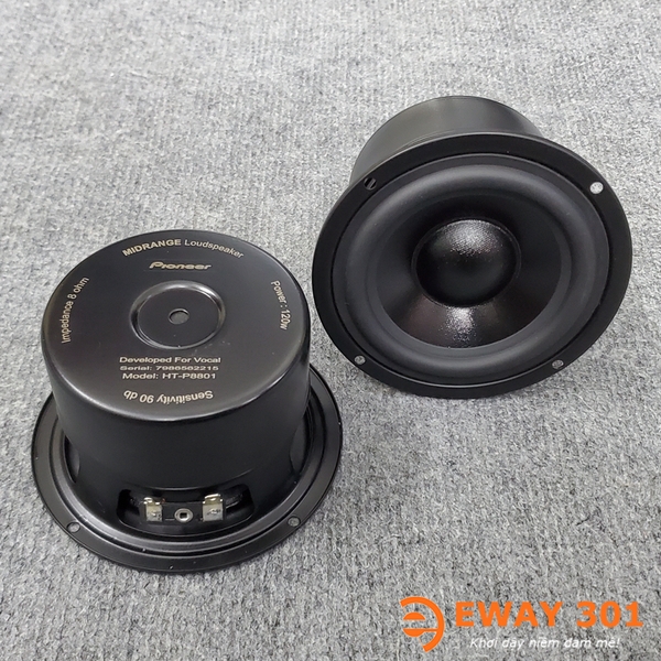 Cặp Loa Trung MID 10 Bọc Khử Từ HT-P8801