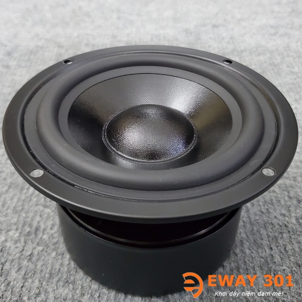 Cặp Loa Trung MID 10 Bọc Khử Từ HT-P8801