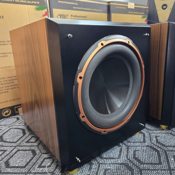 Mẫu Loa Sub Âm Trầm SUB-12TD+ - TD Acoustic