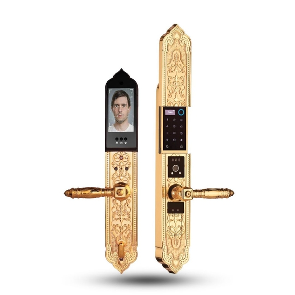 Khóa Biệt Thự Tân Cổ Điển -Fece Id 3d -EL9862 Gold