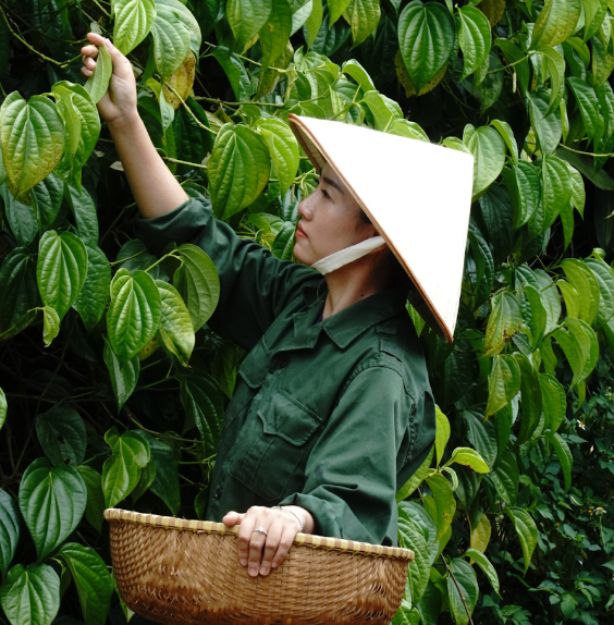Thuận Thiên – khi việc bảo vệ sức khỏe cộng đồng là niềm vui và tâm huyết