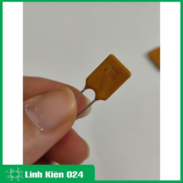 Cầu Chì Tự Phục Hồi 30V