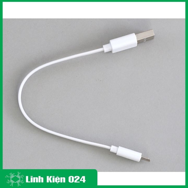 Dây cáp Micro USB 0.2 m