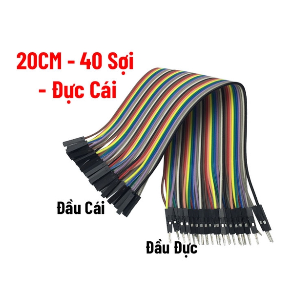 Dây Cắm Test Board 7 Màu Dài 20cm Đực-Cái/Đực-Đực-Cái-Cái