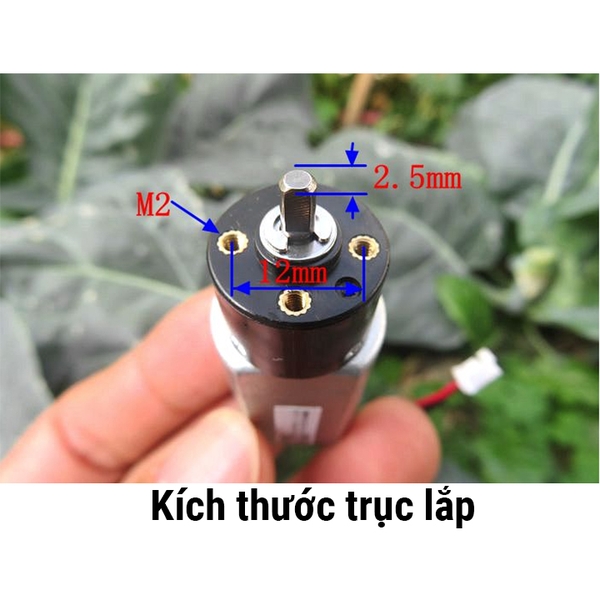 Động Cơ Giảm Tốc 180 3V 1350 Vòng/ Phút
