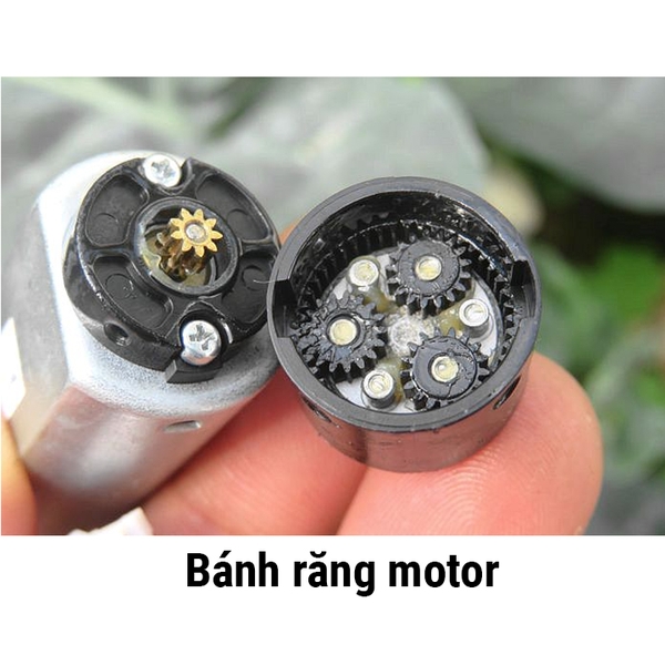 Động Cơ Giảm Tốc 180 3V 1350 Vòng/ Phút