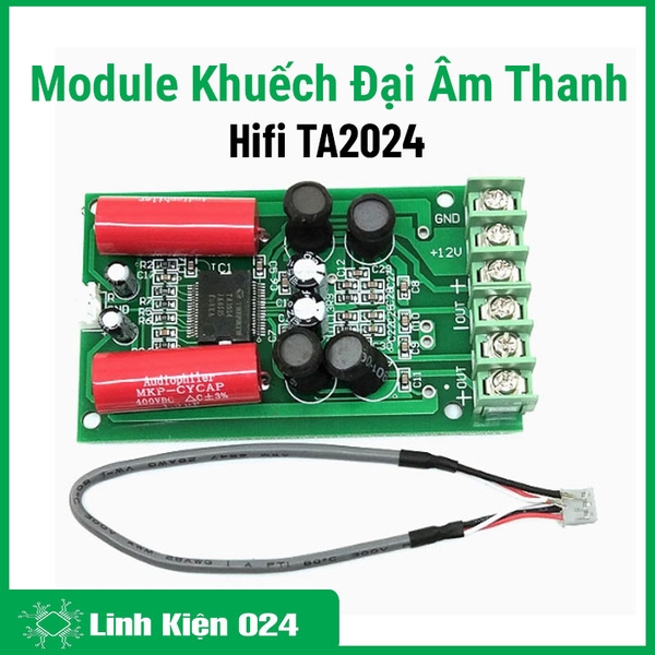 Module Khuếch Đại Âm Thanh Hifi TA2024 (k5e1)