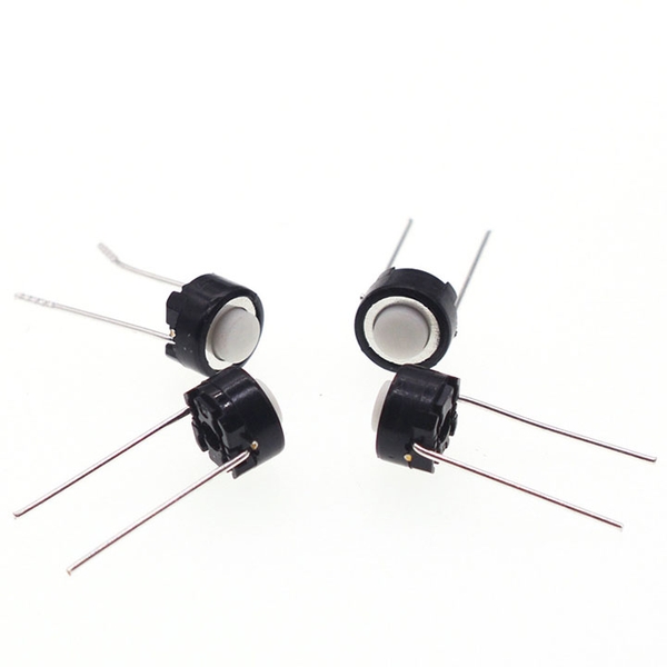 Nút Nhấn 2 Chân - Trắng (K2C10)