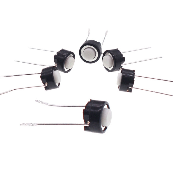 Nút Nhấn 2 Chân - Trắng (K2C10)