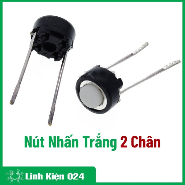 Nút Nhấn 2 Chân - Trắng (K2C10)