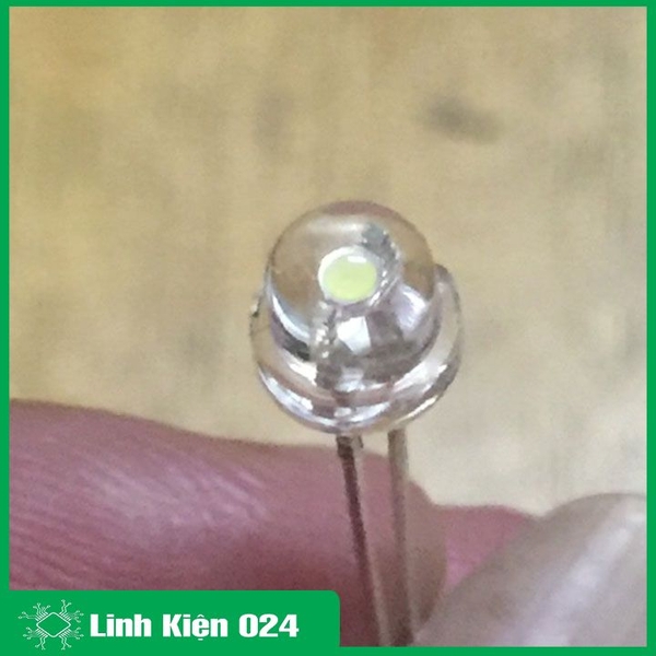 LED Lùn Phi 5mm - Gói 10 Con