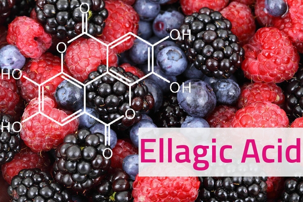 ellagic-acid hoạt chất trị nám mới, hiệu quả an toàn