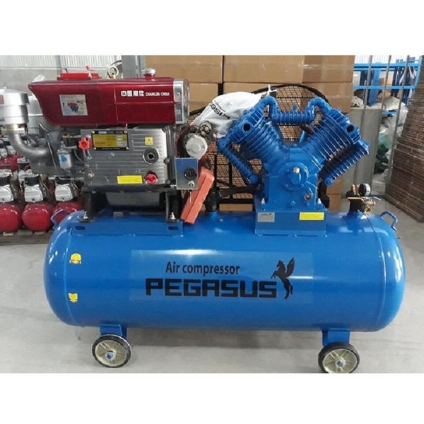 Máy Nén Khí Đầu Nổ Chạy Dầu Pegasus 10HP TM-W-1.0/8-330L