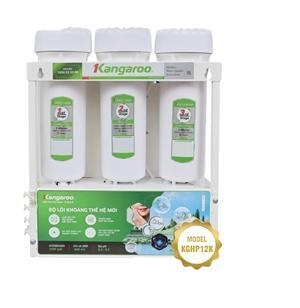 11gd3650-may-loc-nuoc-kangaroo-hydrogen-kghp12k