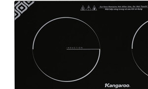 bep-tu-hong-ngoai-am-2-vung-nau-kangaroo-kg498n