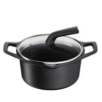 11gd920-noi-duc-cao-cap-tefal-robusto-24cm-e2494644