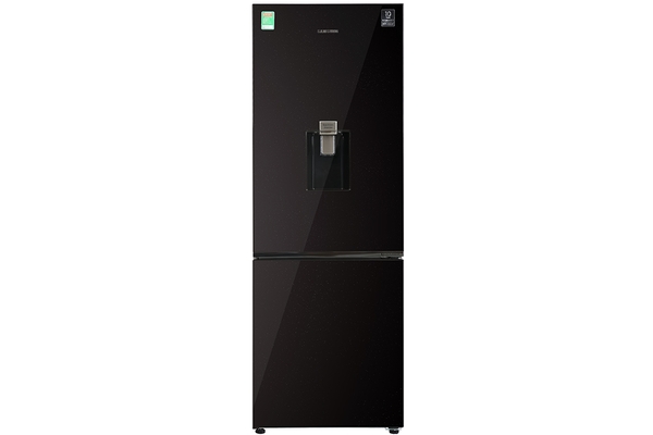 9.500k Tủ lạnh Samsung Inverter 307 lít RB30N4190BY/SV