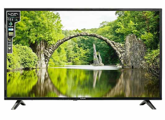 Tivi Liva 43 inch E43DM Smart
