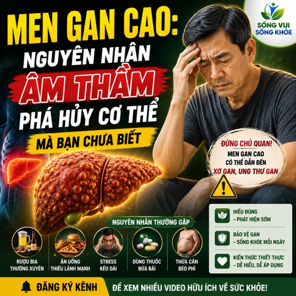 Men Gan Cao: Nguyên Nhân Âm Thầm Phá Hủy Cơ Thể Mà Bạn Chưa Biết