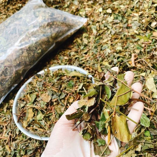 Chè Vằng sẻ Lợi sữa, giảm cân 