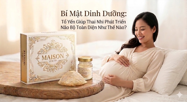Bí Mật Dinh Dưỡng: Tổ Yến Giúp Thai Nhi Phát Triển Não Bộ Toàn Diện Như Thế Nào?