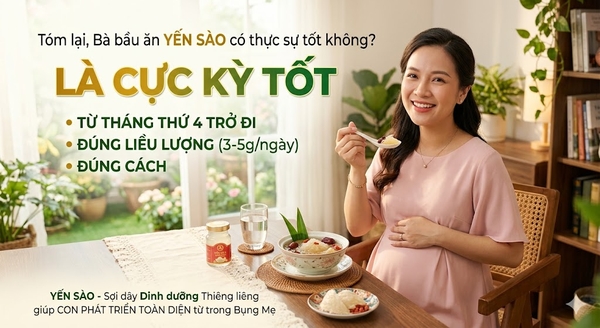 Bà Bầu Ăn Yến Sào Có Thực Sự Tốt Không? Hướng Dẫn Từ A-Z Cho Thai Kỳ Khỏe Mạnh