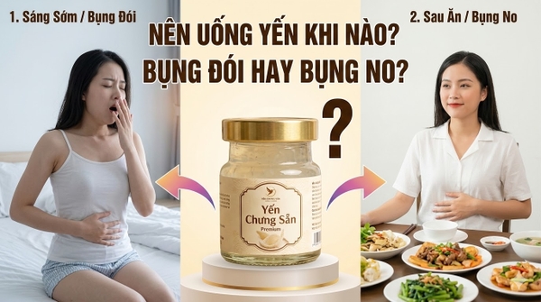 Uống Yến Chưng Sẵn Vào Lúc Bụng Đói Hay Bụng No Thì Hấp Thụ Tốt Nhất?
