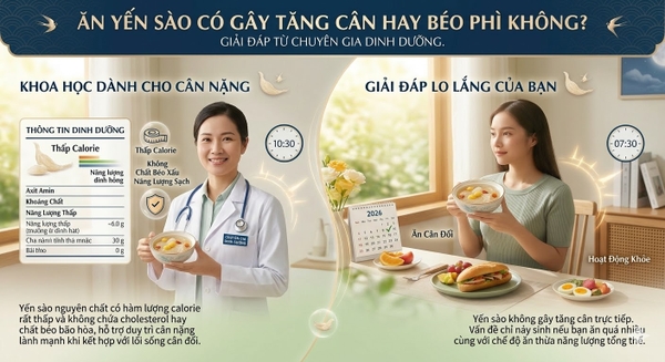Ăn Yến Sào Có Gây Tăng Cân Hay Béo Phì Không? Giải Đáp Từ Chuyên Gia Dinh Dưỡng