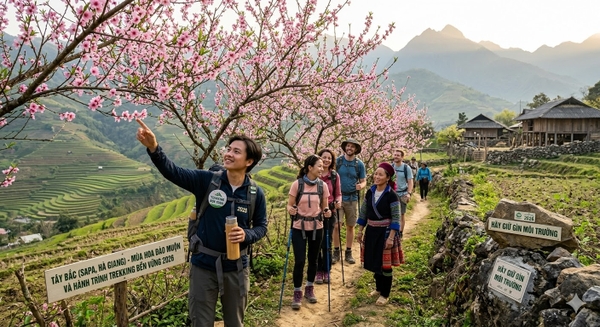 Tây Bắc (Sapa, Hà Giang): Mùa Hoa Đào Muộn Và Hành Trình Trekking Bền Vững 2026