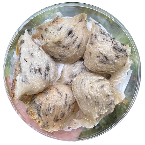 Yến thật yến giả lẫn lộn, làm sao để phân biệt?