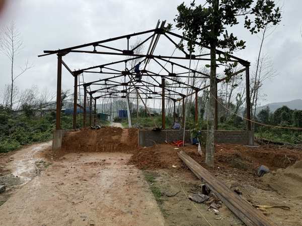 HOẠT ĐỘNG QUÝ i NĂM 2026