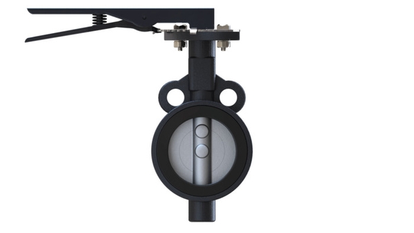 concentric-wafer-type-disc-bolt