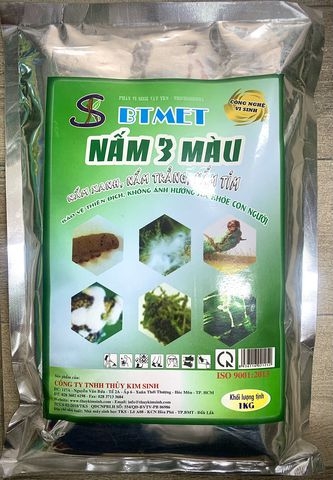 btmet-nam-3-mau