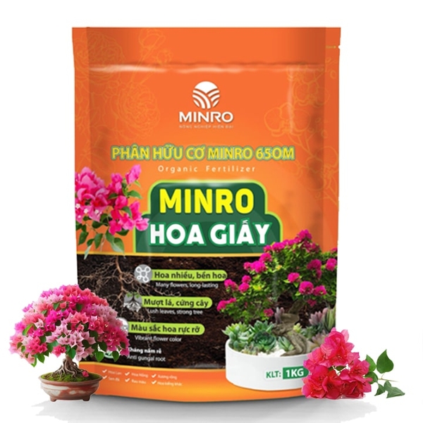 MINRO HOA GIẤY