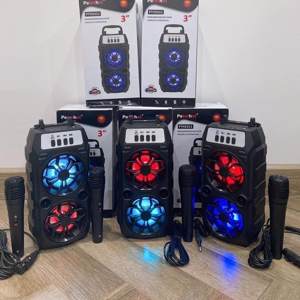 loa-bluetooth-karaoke-pth-2311