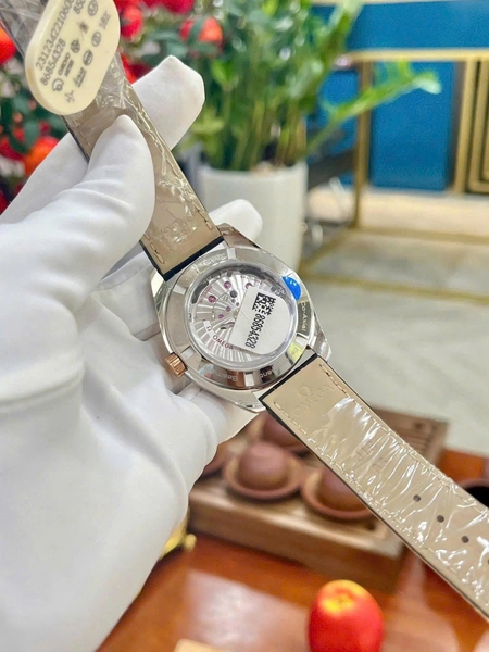 Omega Automatic Seamaster Aqua Terra 231.23.39.21.06.001 ( 23123392106001 )