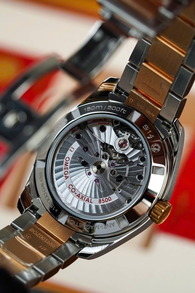 Omega Automatic Seamaster Aqua Terra 231.20.39.21.02.001 (23120392102001)