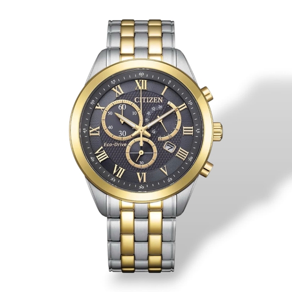 Citizen Quartz Eco-Drive Archives AT2604-56H